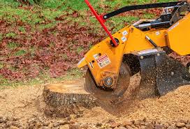 Best Aeration Services  in Nichols Hills, OK